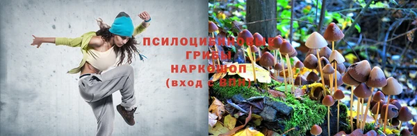 мяу мяу мука Абаза