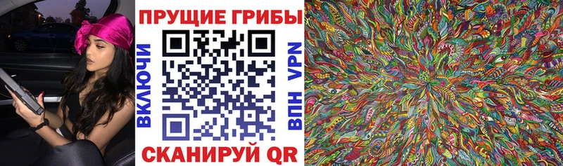 Псилоцибиновые грибы Psilocybe  Мосальск 