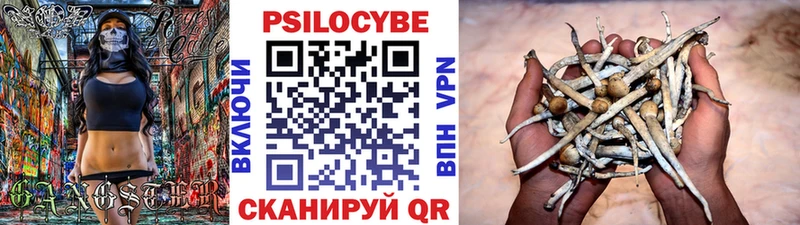 Псилоцибиновые грибы прущие грибы Мосальск
